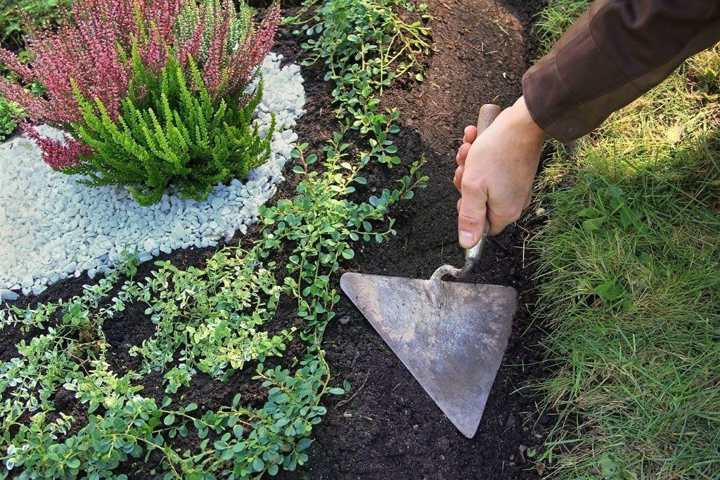 Gartenpflege - Dürig Gartenbau