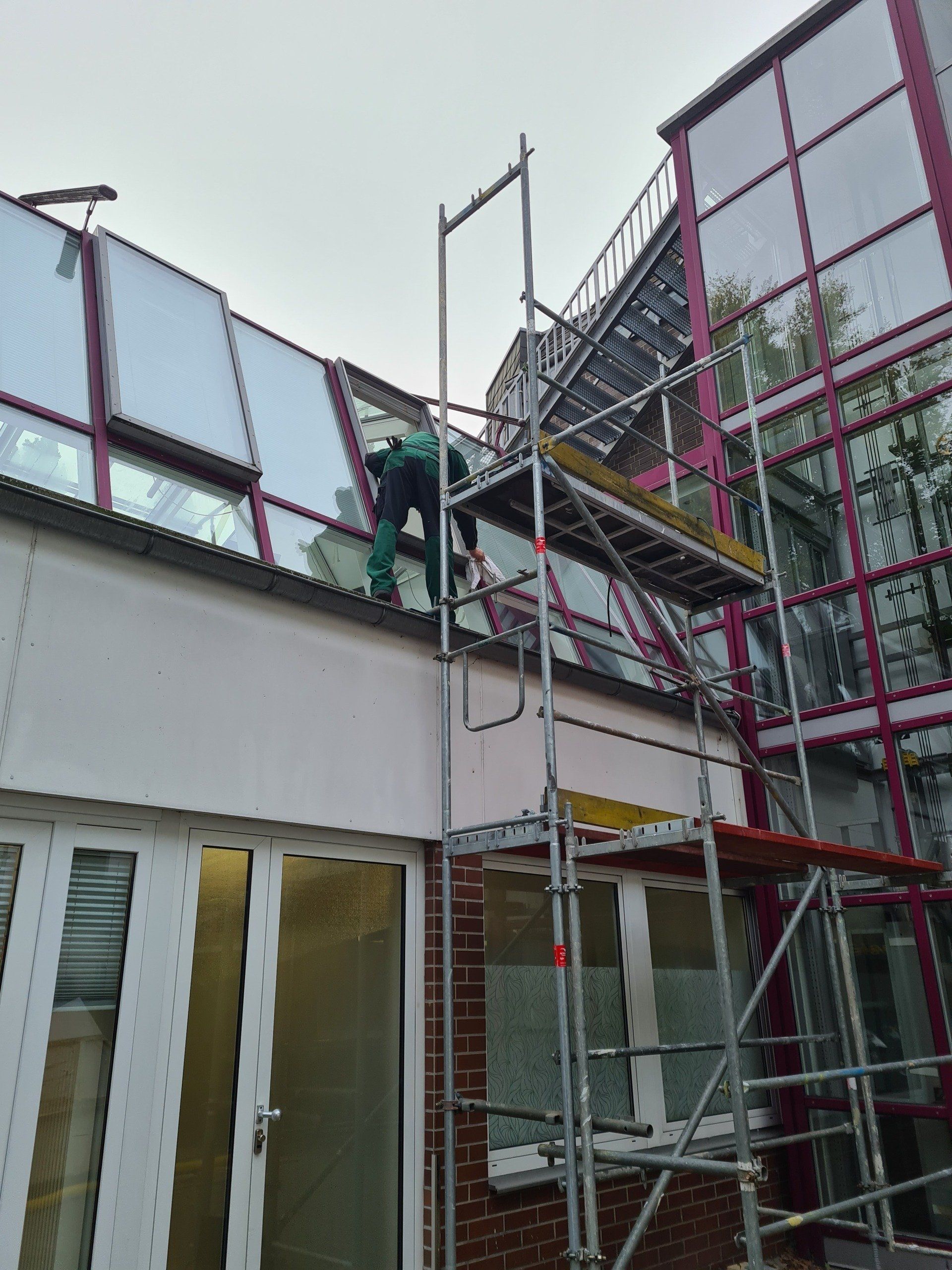 Glaserei Engst – Insektenschutztür