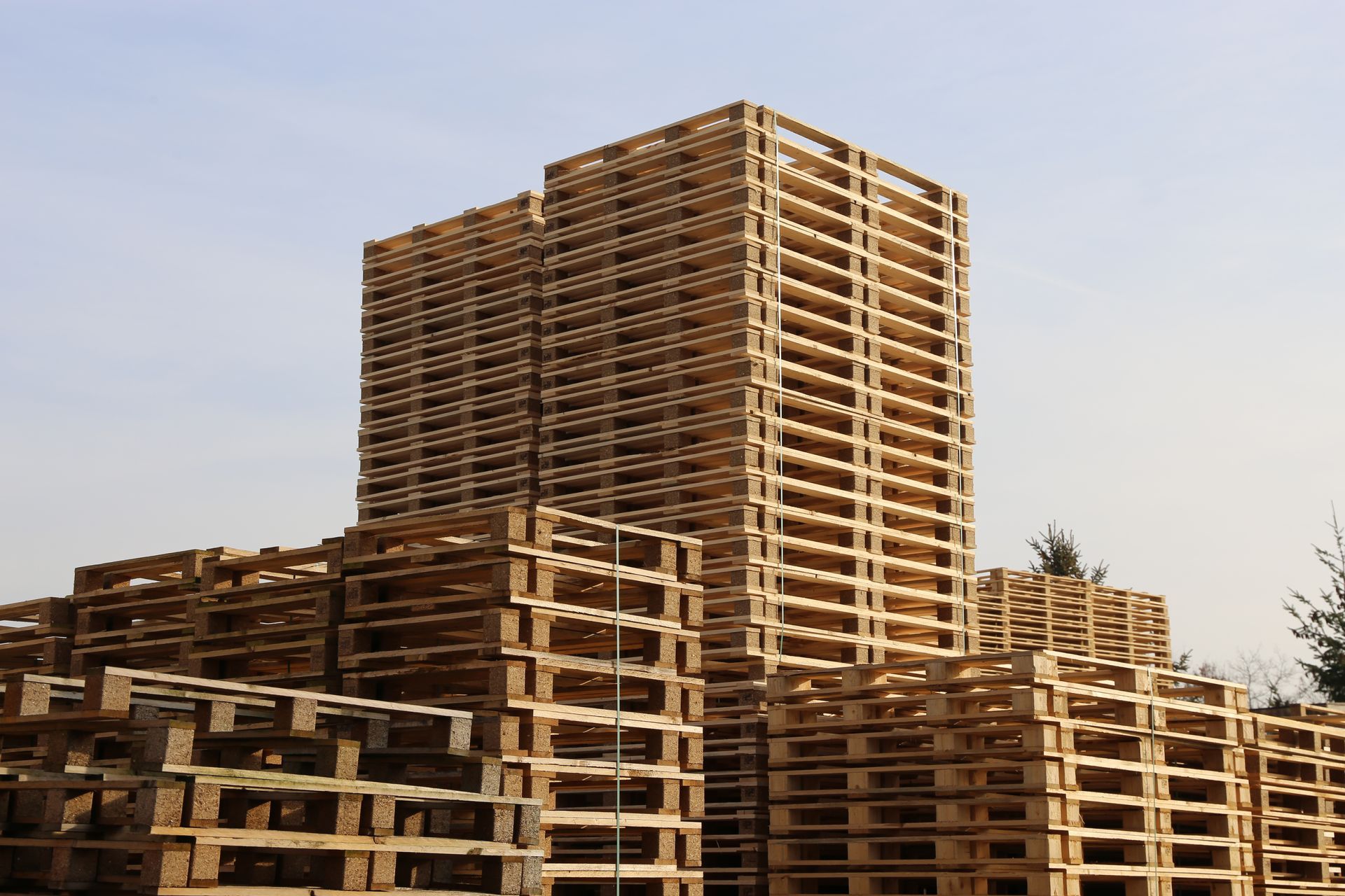 Pile de nombreuses palettes en bois.