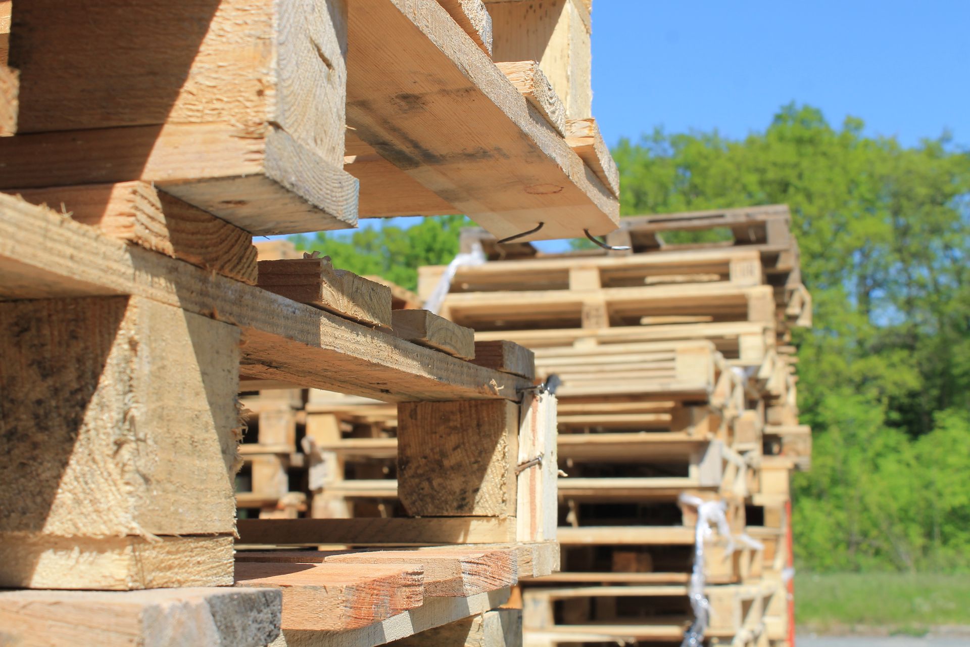 Piles de palettes en pleine nature.