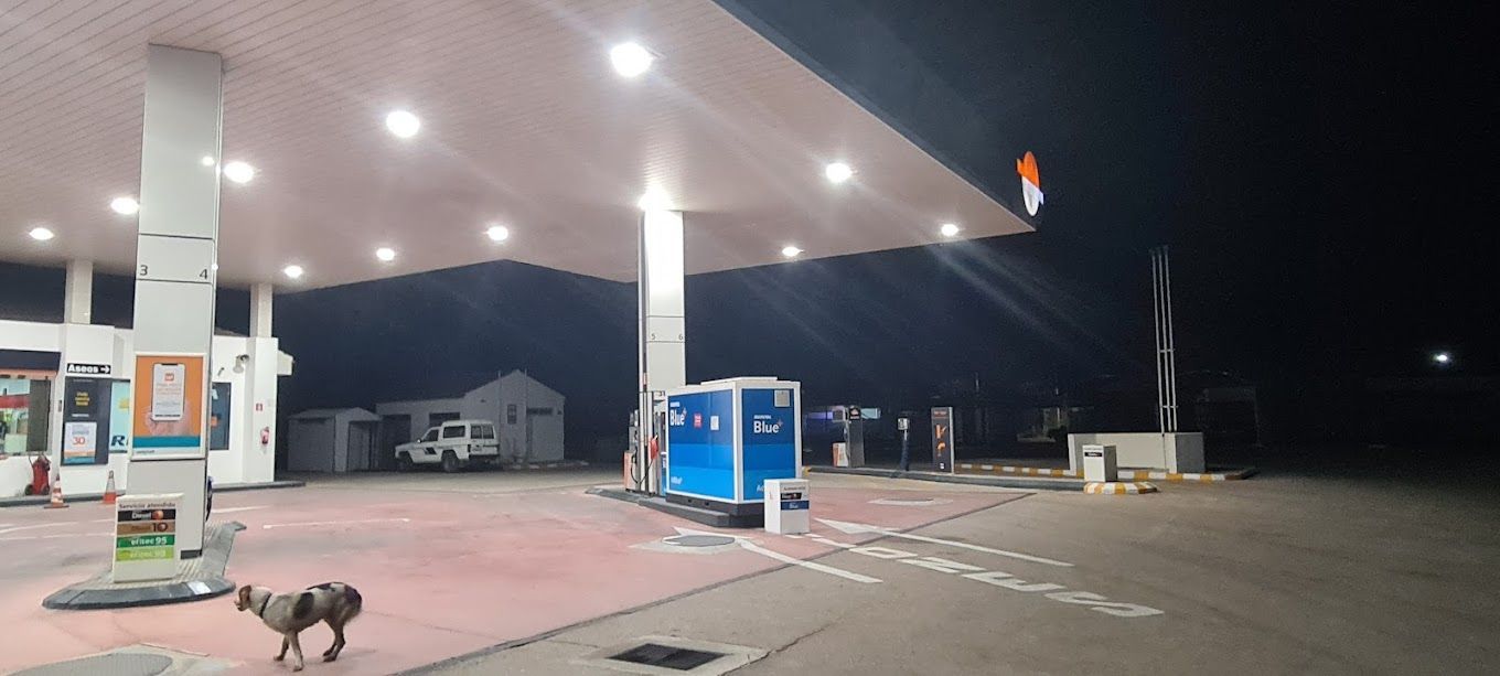 Un perro está parado frente a una gasolinera por la noche.