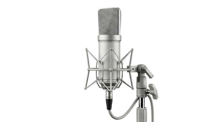 Microphone argenté monté sur un pied avec suspension.