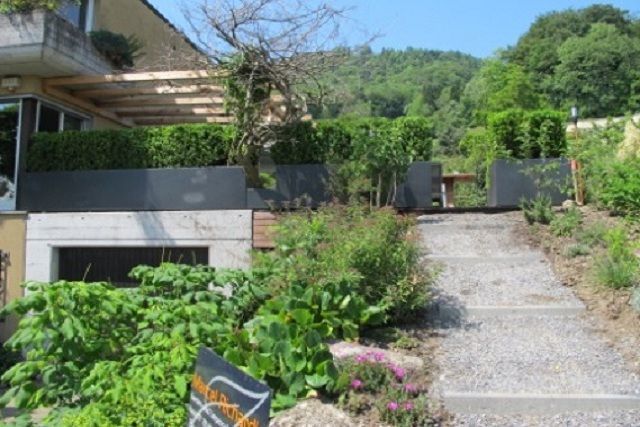 Gärtner arbeitet im Garten