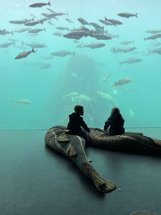Atlantic Sea Park aquarium in Ålesund