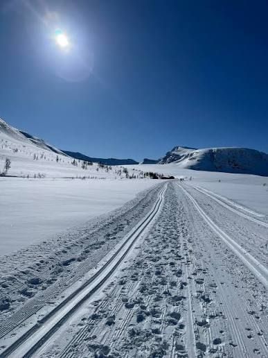 Cross-country ski tracks on the way to Husnebu