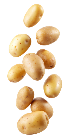 Des pommes de terre