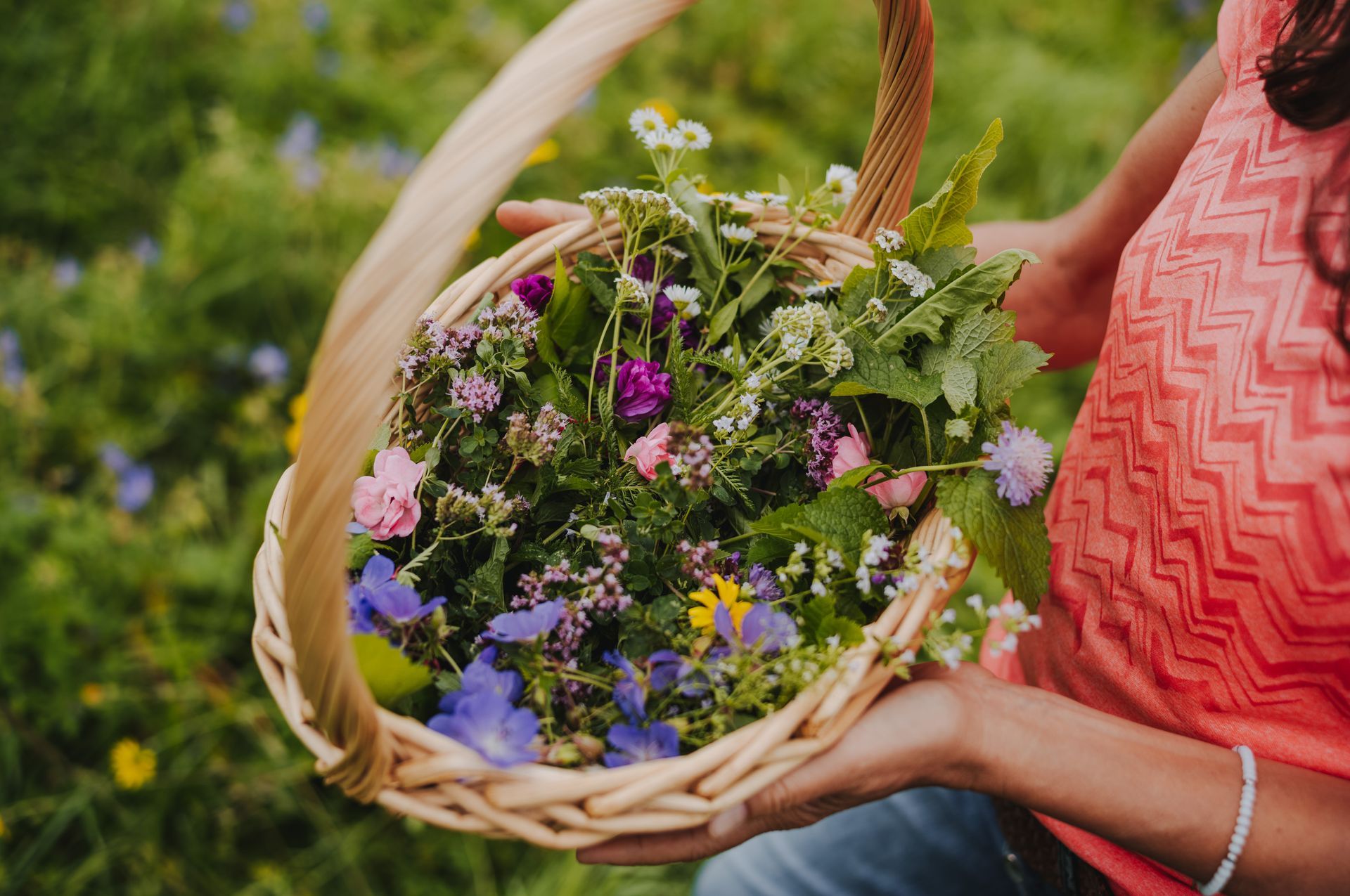 Wild und gesund ► Kräuterführungen und Exkursionen in Heilbronn mit Sibylle Arpogaus