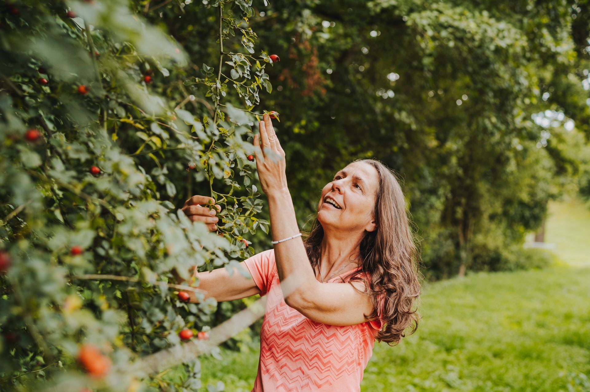 Wild und gesund ► Kräuterführungen und Exkursionen in Heilbronn mit Sibylle 