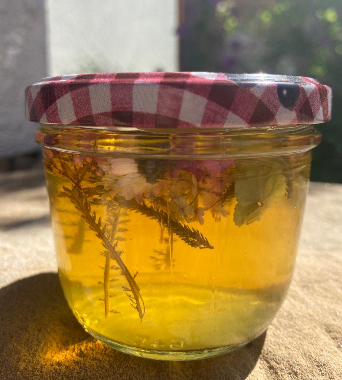 Wild und gesund ► Kräuterführungen und Exkursionen in Heilbronn mit Sibylle Arpogaus