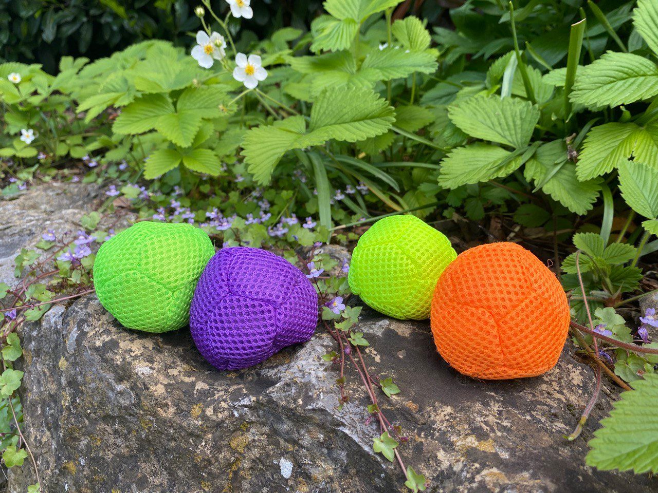 Brainfit ► Gehirn-Körper-Training in Heilbronn mit Sibylle Arpogaus