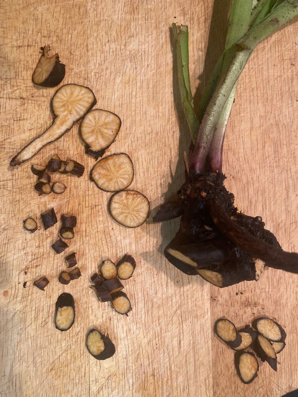 Wild und gesund ► Kräuterführungen und Exkursionen in Heilbronn mit Sibylle Arpogaus