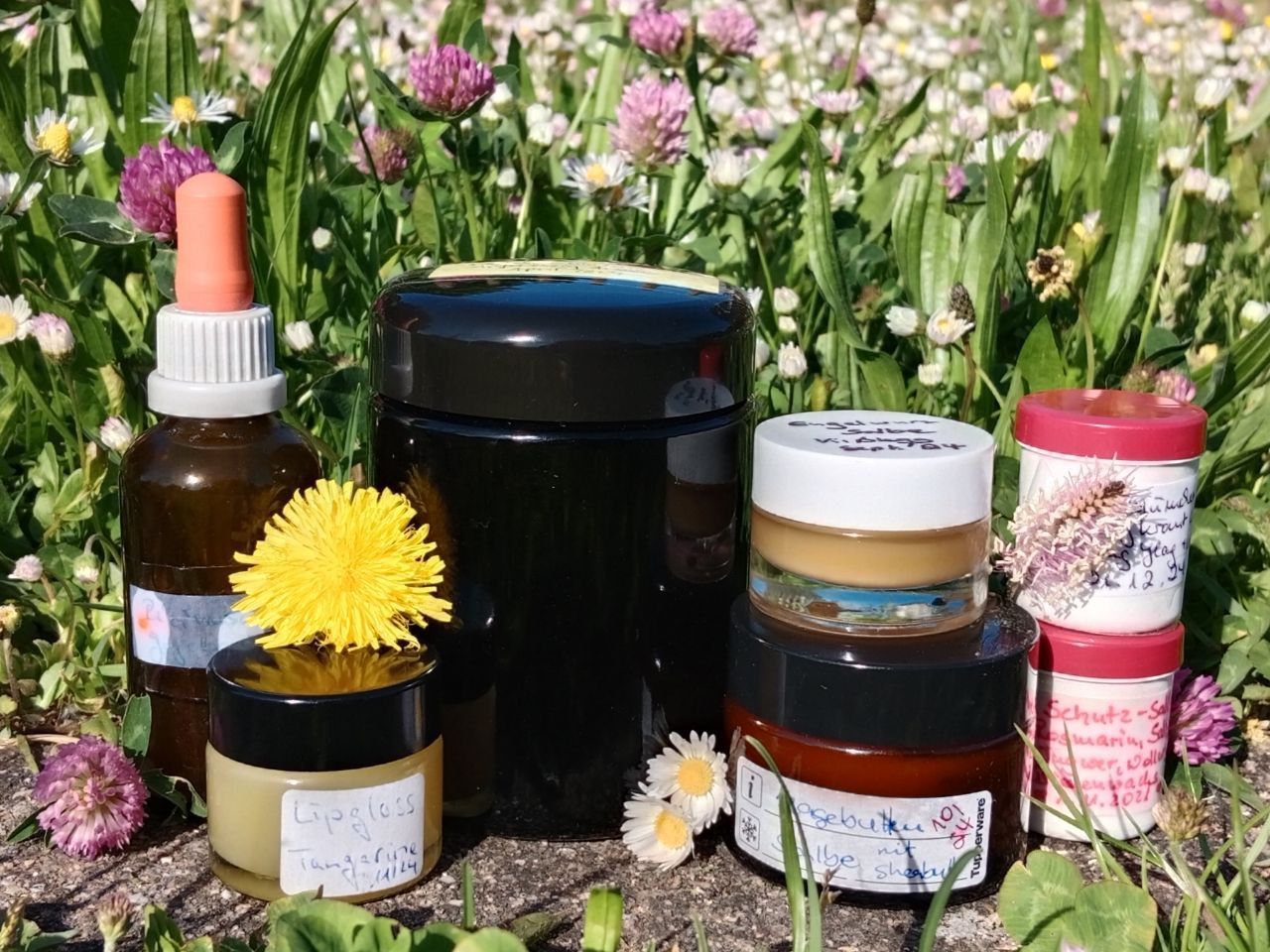 Wild und gesund ► Kräuterführungen und Exkursionen in Heilbronn mit Sibylle Arpogaus