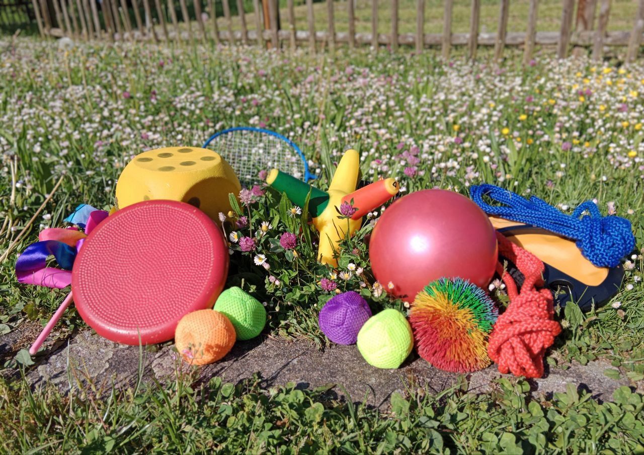 Wild und gesund ► Kräuterführungen und Exkursionen in Heilbronn mit Sibylle Arpogaus