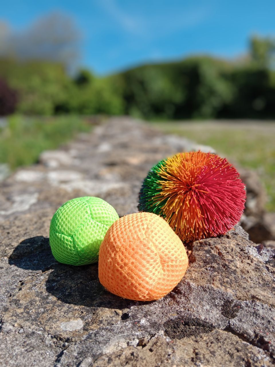 Brainfit ► Gehirn-Körper-Training in Heilbronn mit Sibylle Arpogaus