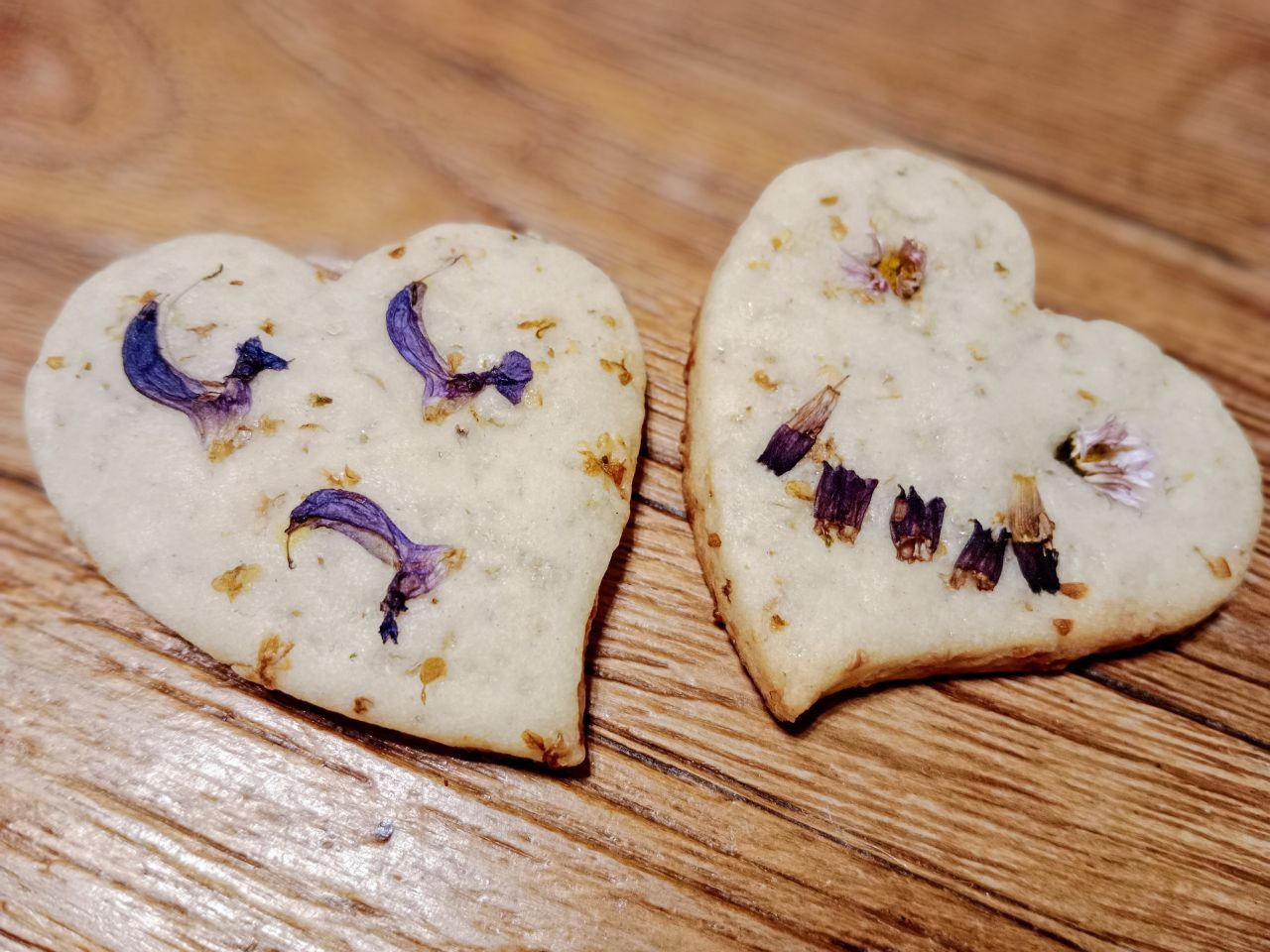 Wild und gesund ► Kräuterführungen und Exkursionen in Heilbronn mit Sibylle Arpogaus