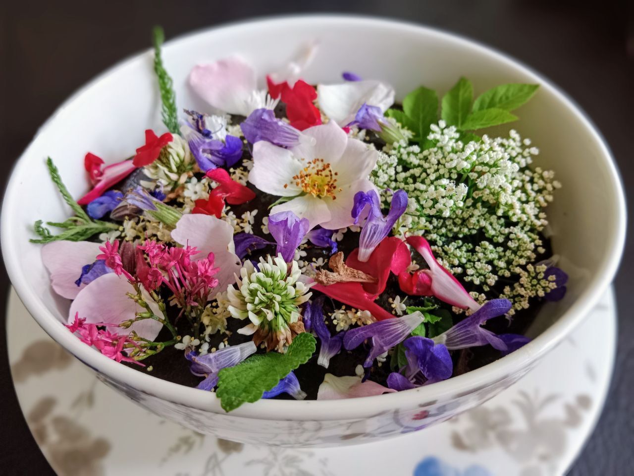 Wild und gesund ► Kräuterführungen und Exkursionen in Heilbronn mit Sibylle Arpogaus