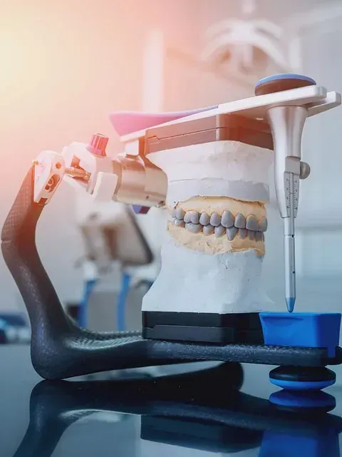 Un modelo dental de los dientes de una persona está sentado sobre una mesa.