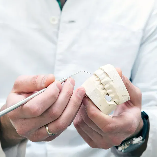 Un dentista sostiene un modelo de dientes y una herramienta dental.