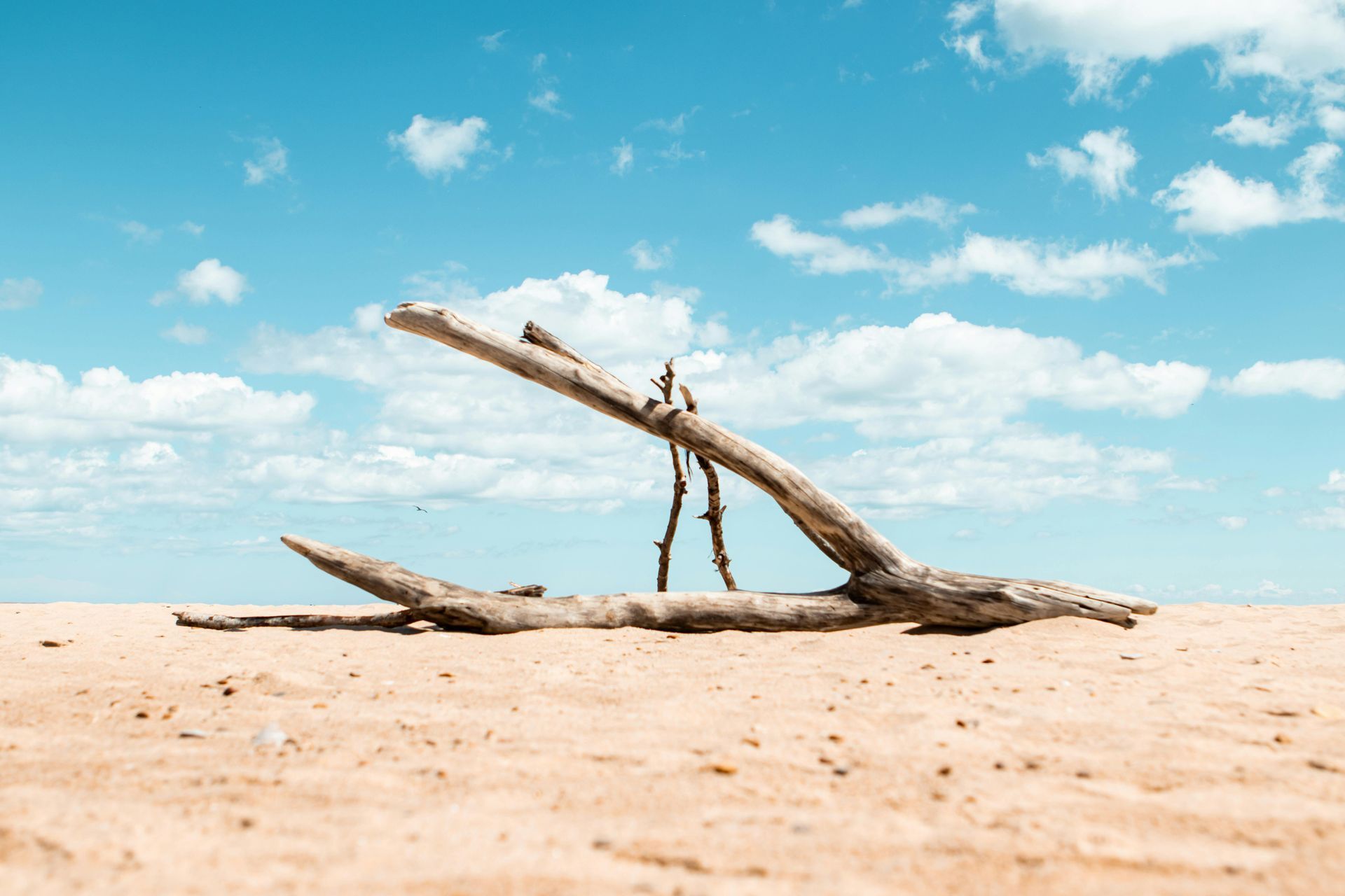 A piece of driftwood shaped like an A-frame stands on a sandy beach under a bright blue sky with scattered clouds.