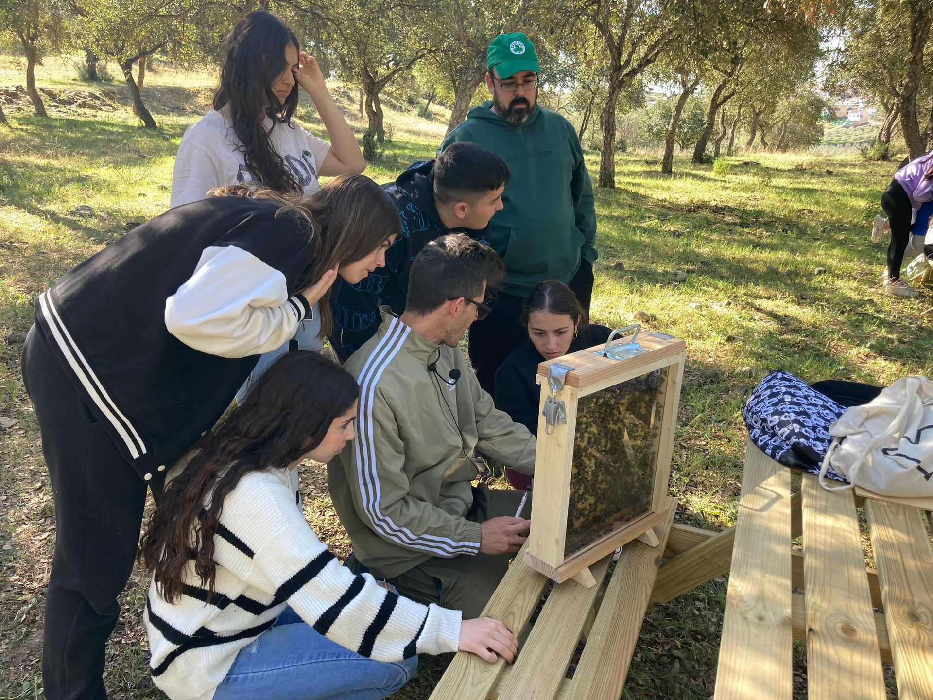 Un grupo de personas mira una colmena en un parque.