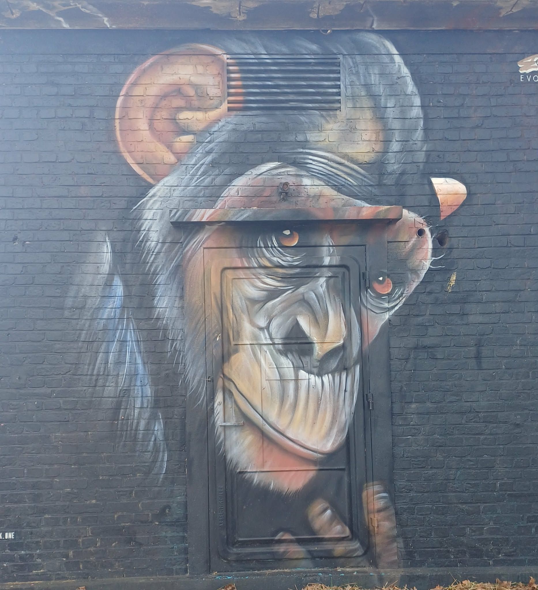 Street Art