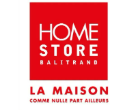 Logo Home Store