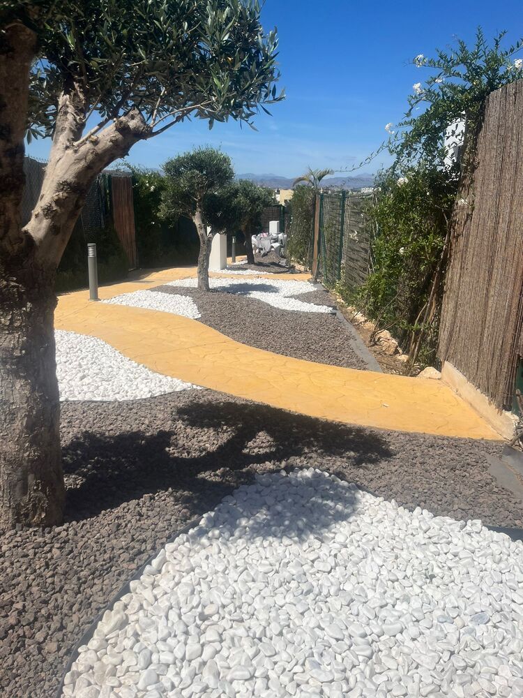 Hay un árbol en el medio de un camino de grava.