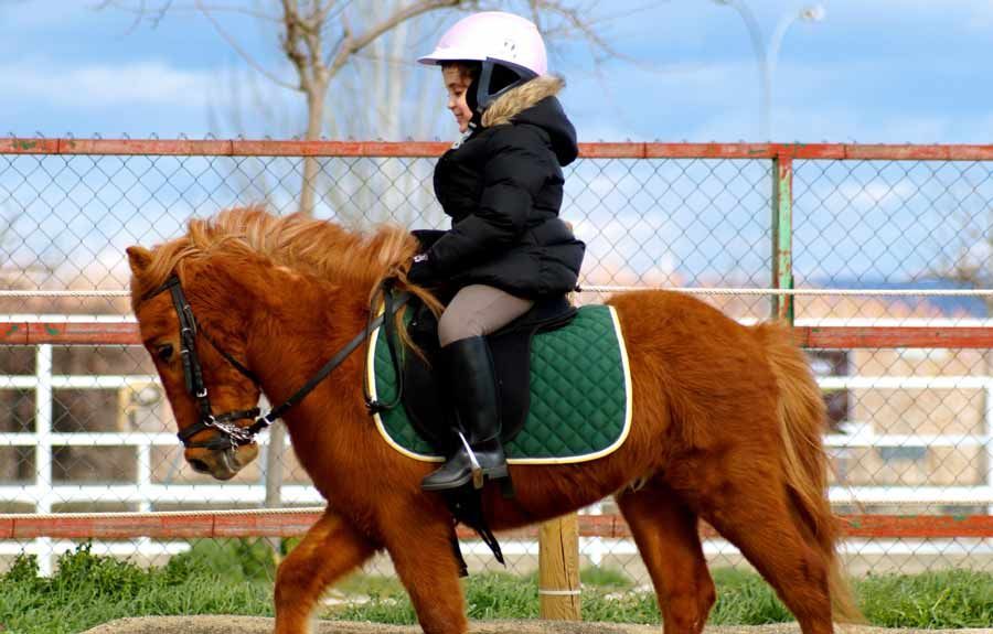 Niño con casco y botas de montar montado en un poni en un área cercada.