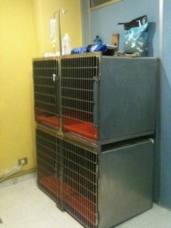 Jaulas apiladas para animales en una clínica veterinaria, con soporte para suero intravenoso, botellas y suministros.