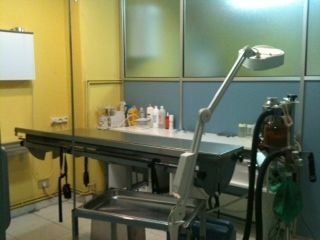 Sala de exploración veterinaria: mesa de acero inoxidable, lámpara de techo, material médico, tanque de oxígeno.