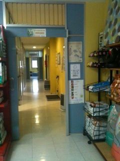 Pasillo de una tienda de mascotas con paredes amarillas y azules, mercancía en estantes y una puerta al final.