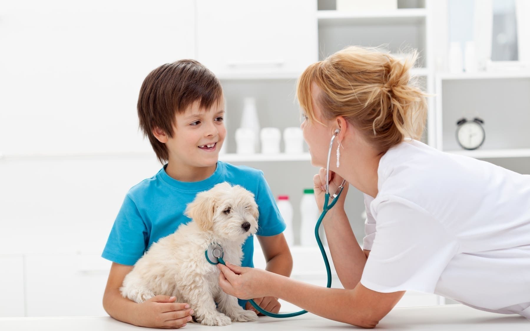 Niño sostiene un cachorro mientras el veterinario usa el estetoscopio en la sala de examen.
