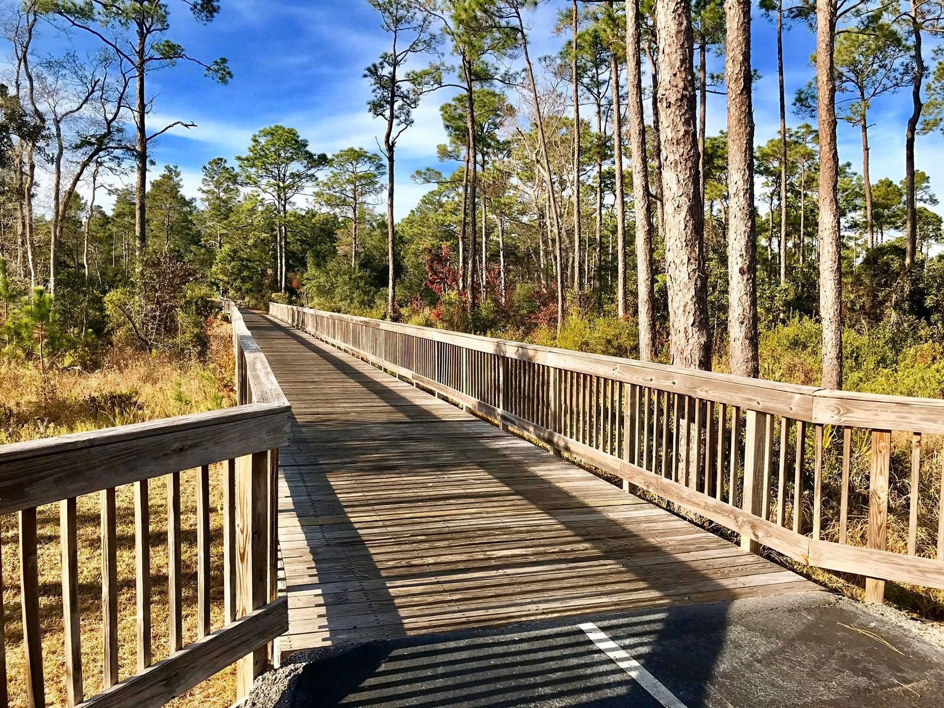 Gulf Shores Nature Trails
