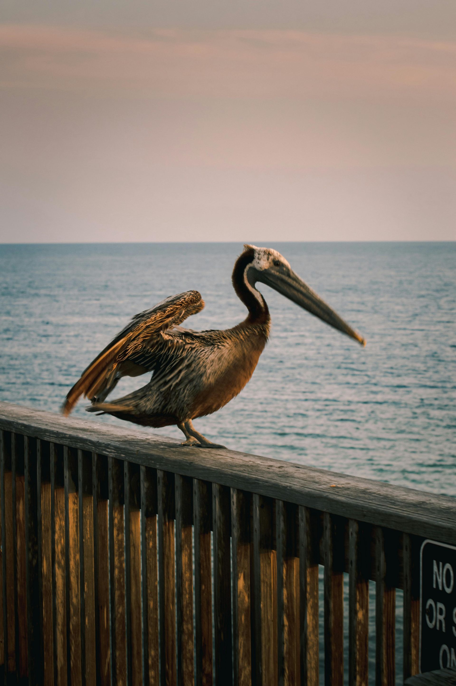 Stroll the Gulf Shores Pier