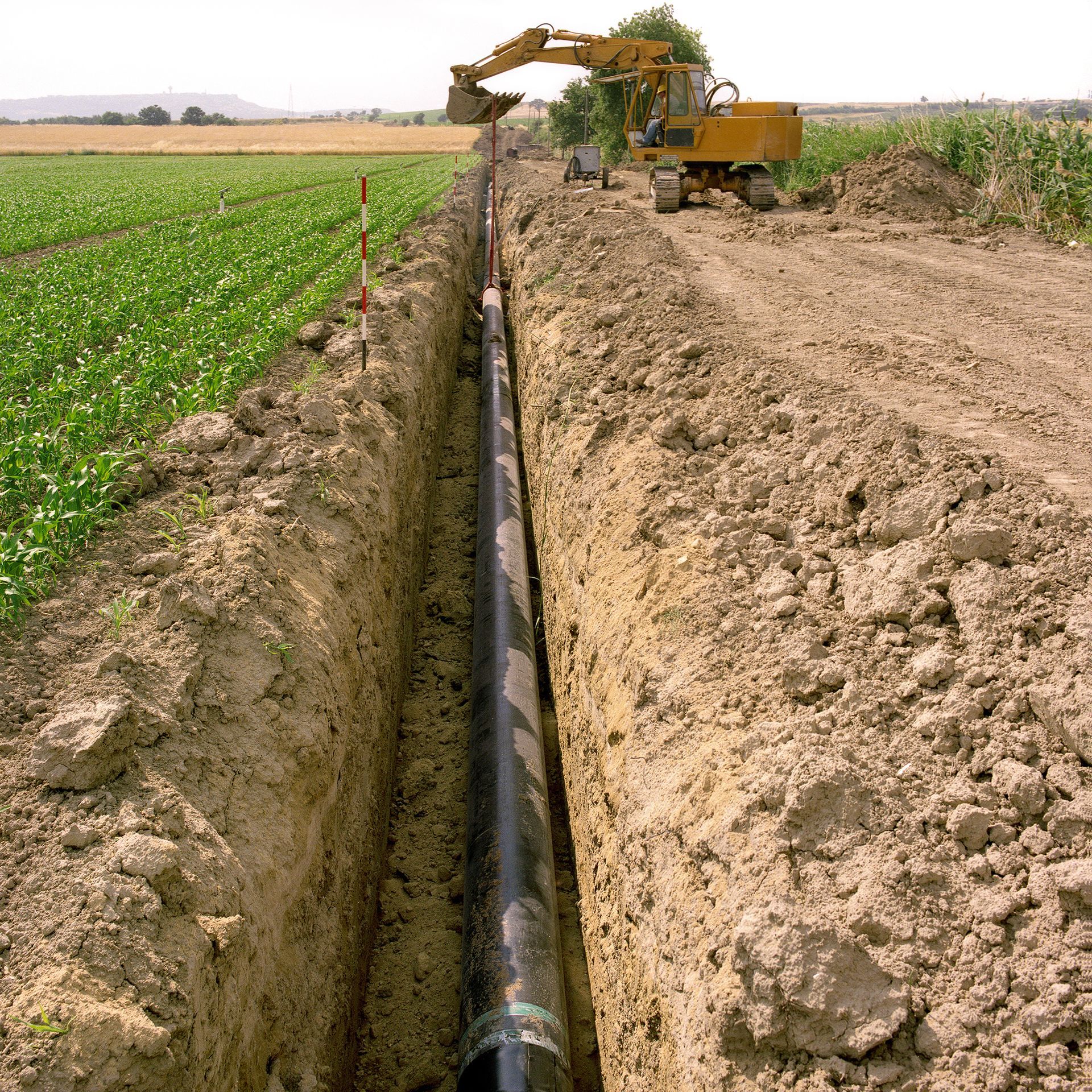 Trancheuse posant une conduite d’irrigation noire dans une tranchée de terre, le long d’un champ de cultures verdoyant