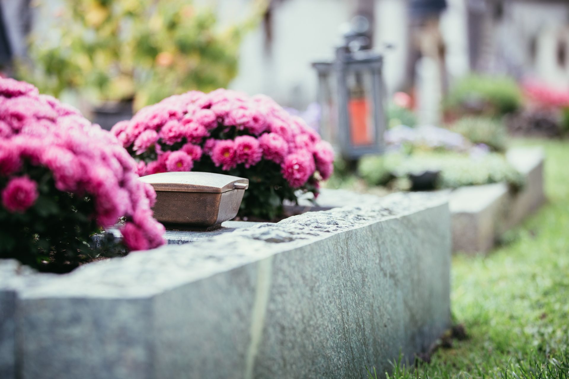 Des fleurs roses dans des jardinières de cimetière, à côté d’une pierre tombale