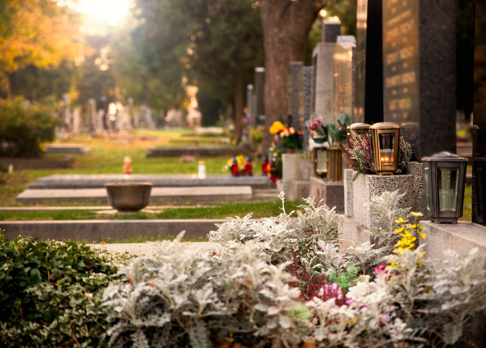 Tombes fleuries dans un cimetière en automne, avec des bougies et des portraits encadrés le long d’une allée bordée d’arbres