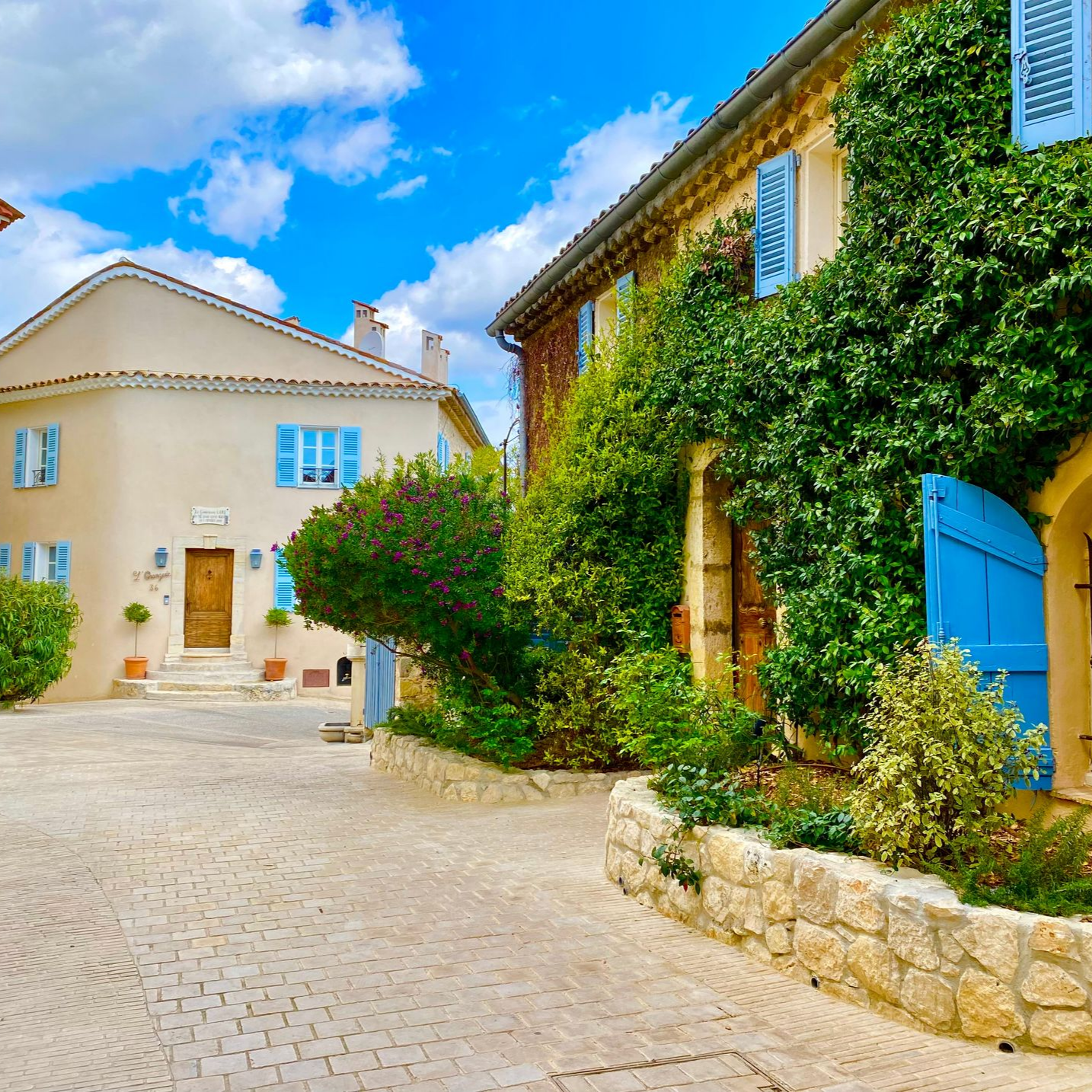 Rue pavée ensoleillée bordée de maisons en pierre aux volets bleus, avec de luxuriantes plantes grimpantes