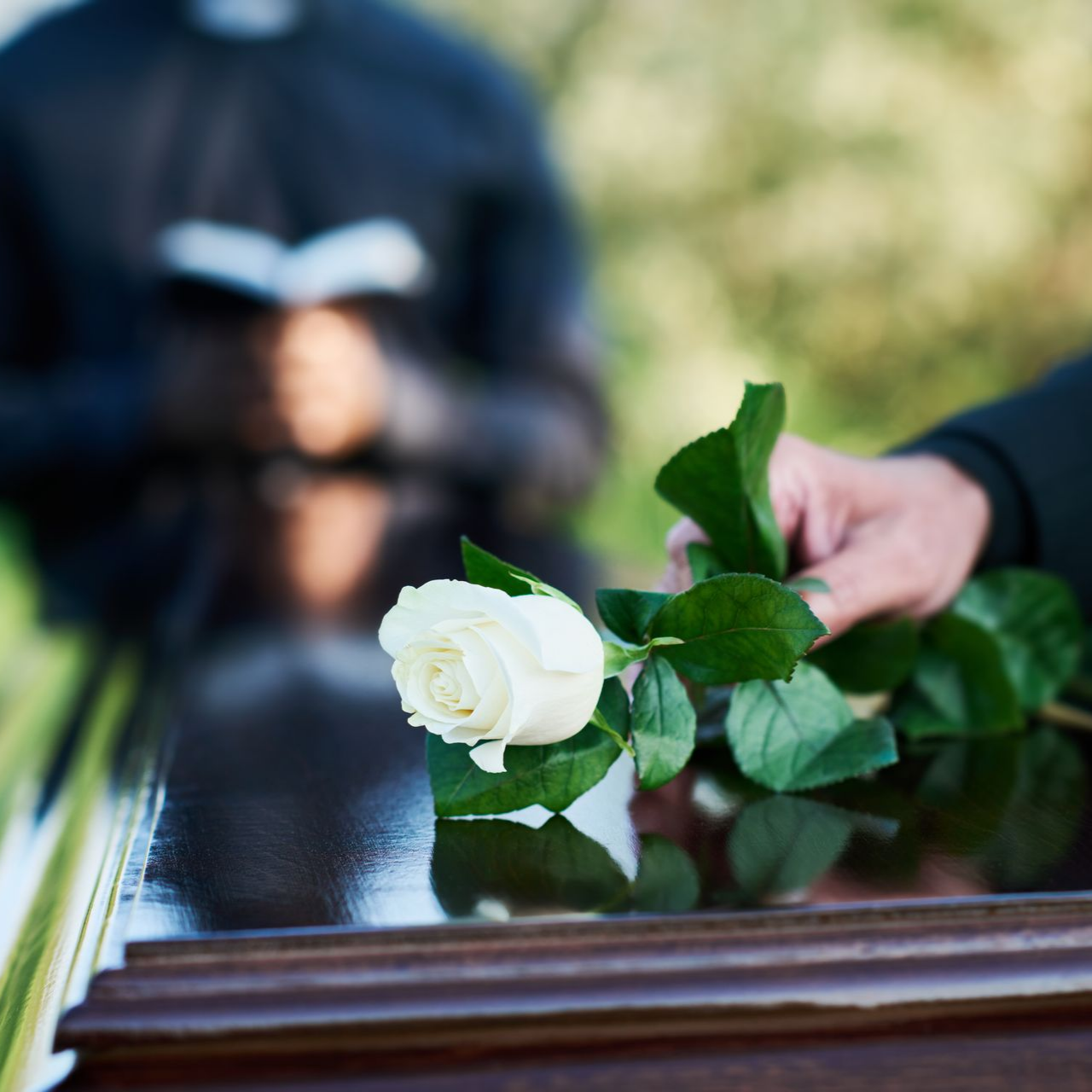 Une rose blanche déposée sur un cercueil poli pendant une cérémonie funéraire