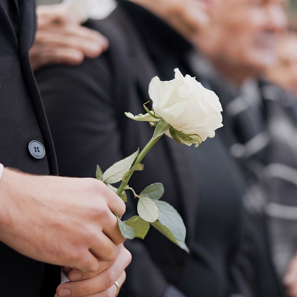 Une main tient une rose blanche lors d’une cérémonie funéraire