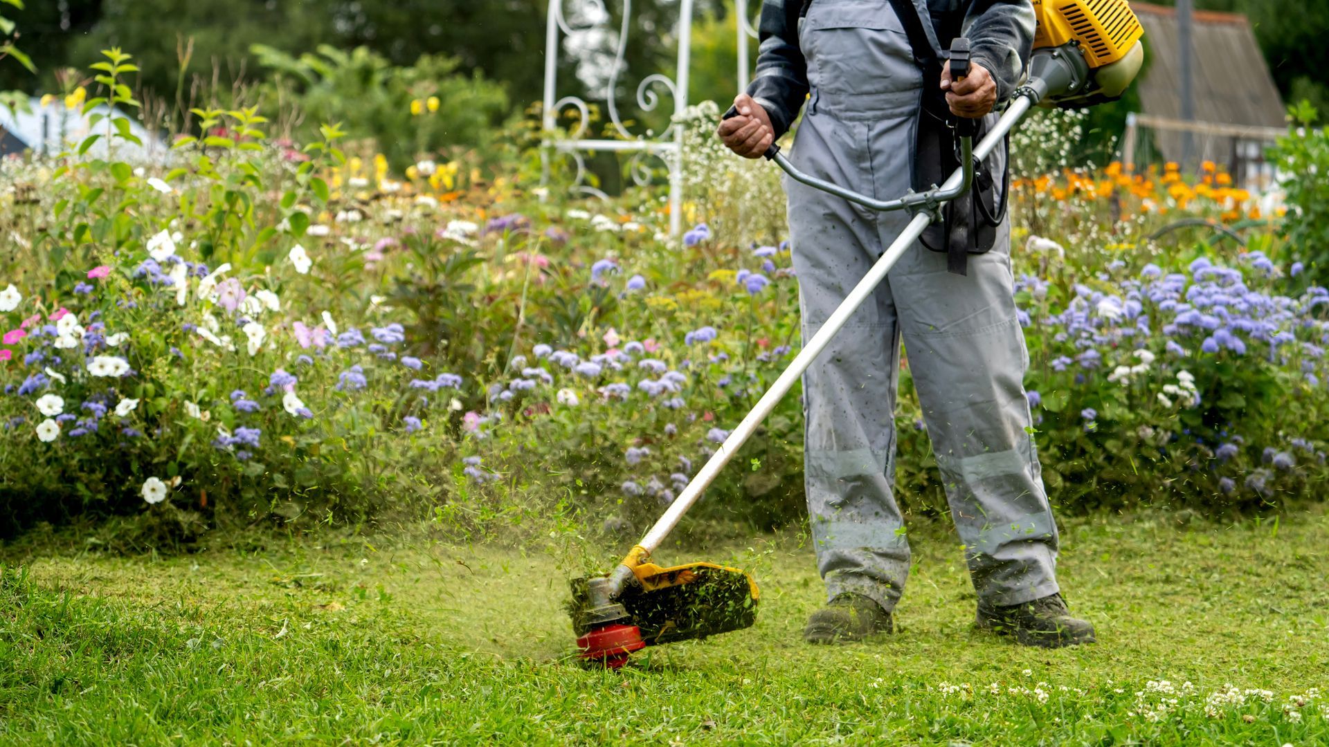 Une personne utilise une débroussailleuse pour tailler l'herbe d'un jardin fleuri.