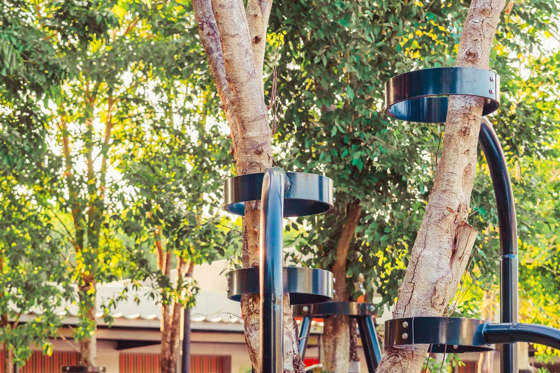 Arbre soutenu par une structure en métal.