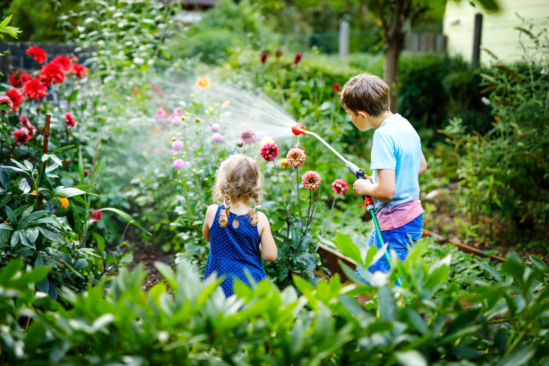 Deux enfants arrosent le jardin.