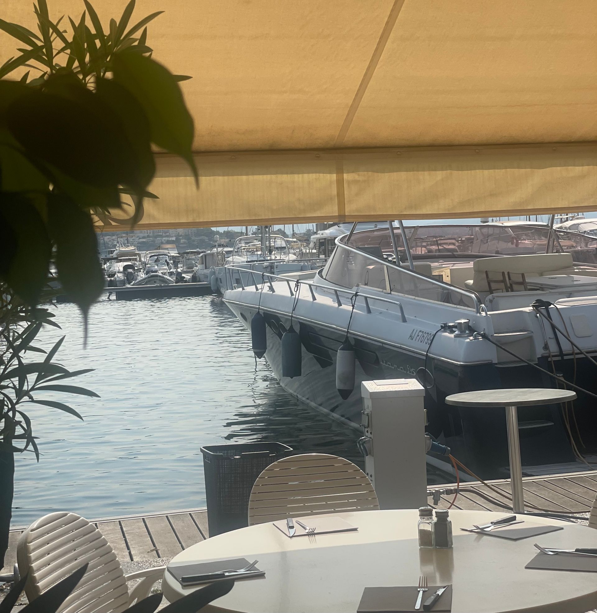 Restaurant avec vue sur le port d'Ajaccio Restaurant avec vue sur le port d'Ajaccio