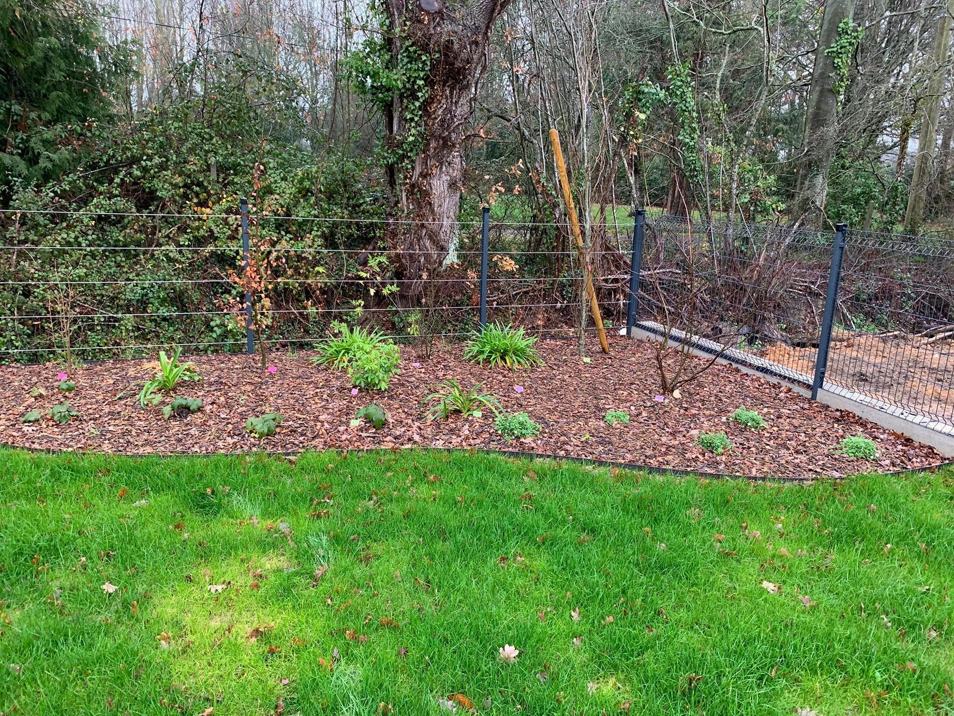 Aménagement d'un angle d'un jardin.