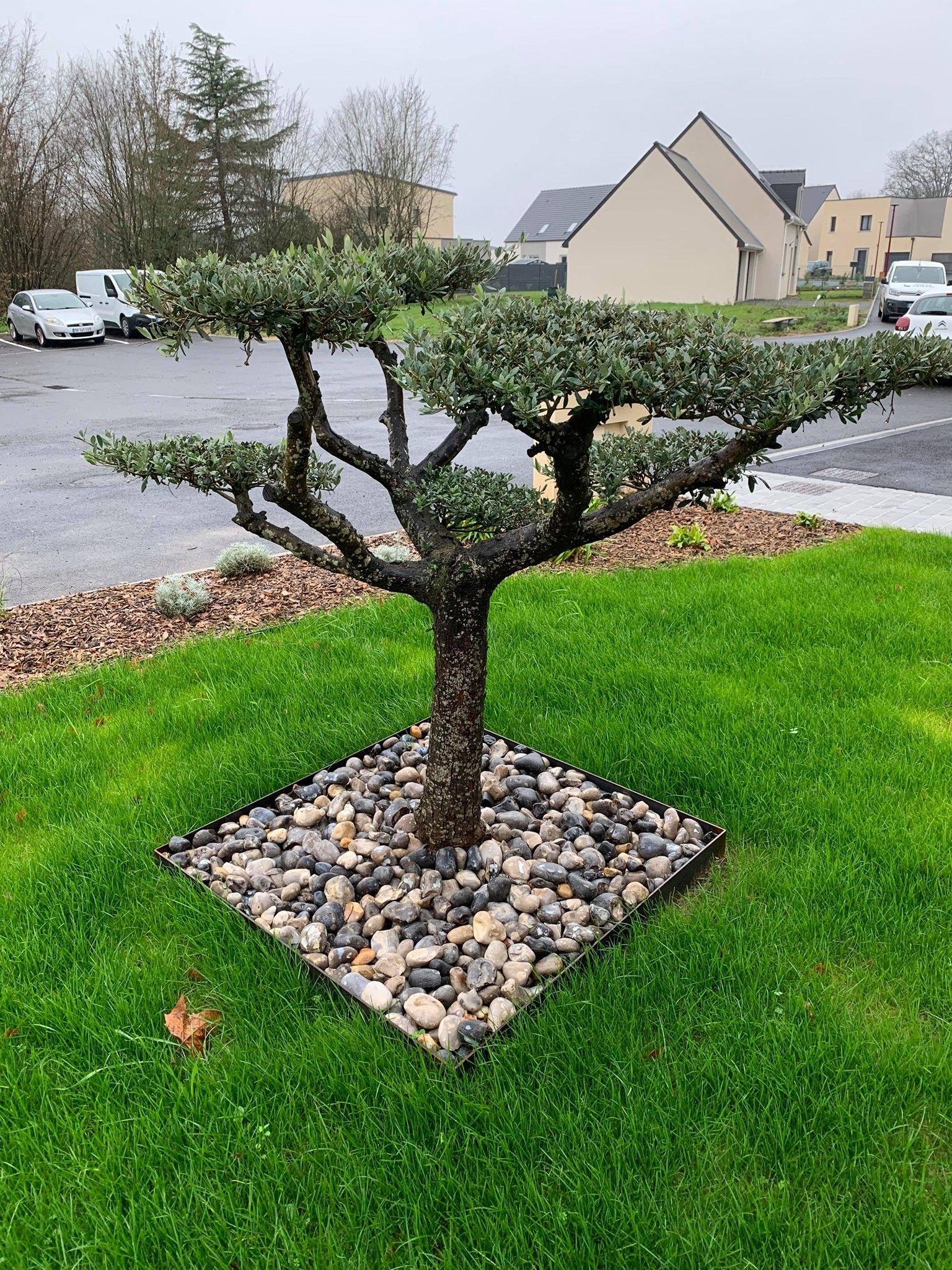 Aménagement paysager réalisé par l'entreprise.