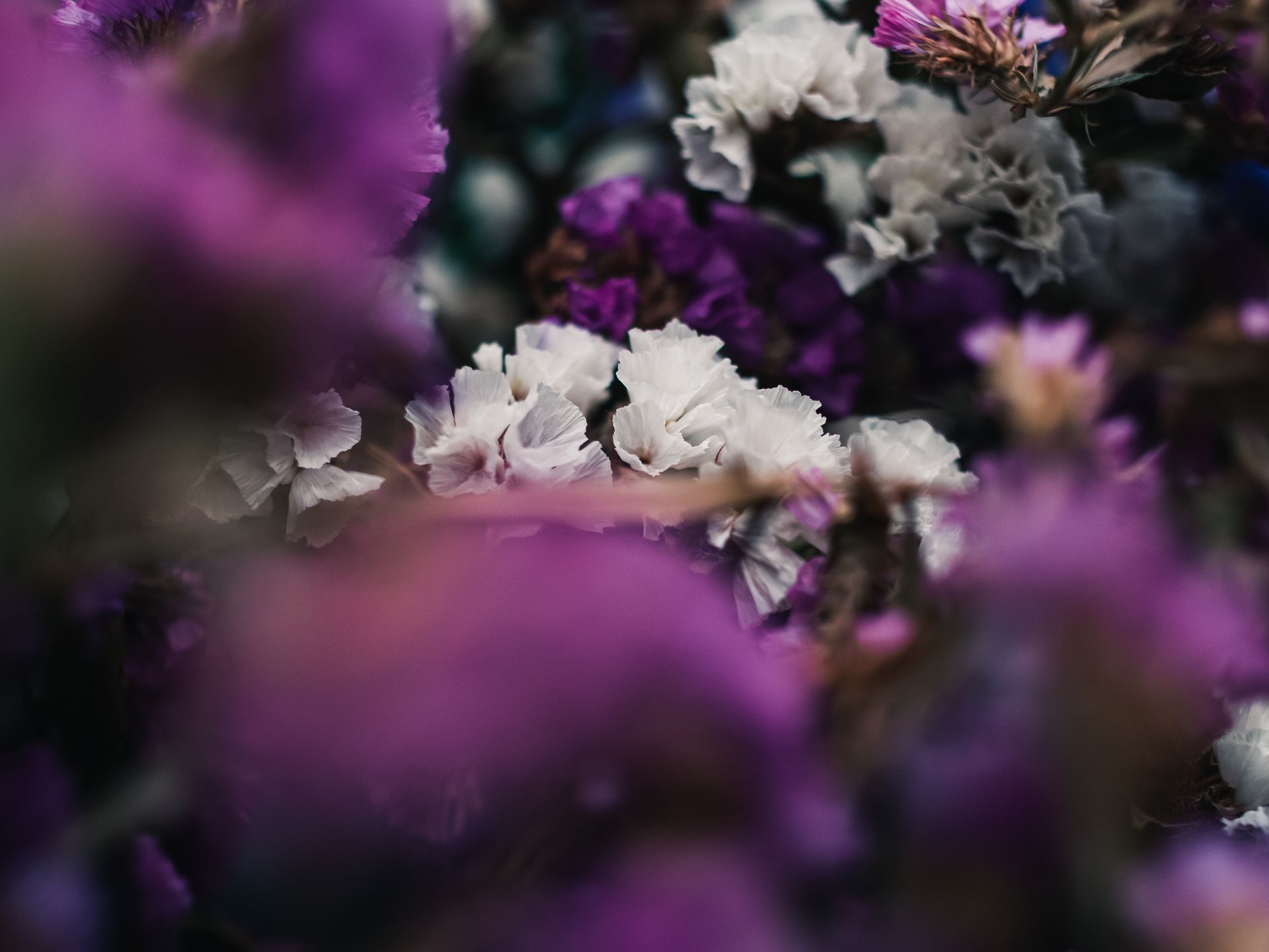 Focus sur bouquet de fleurs.