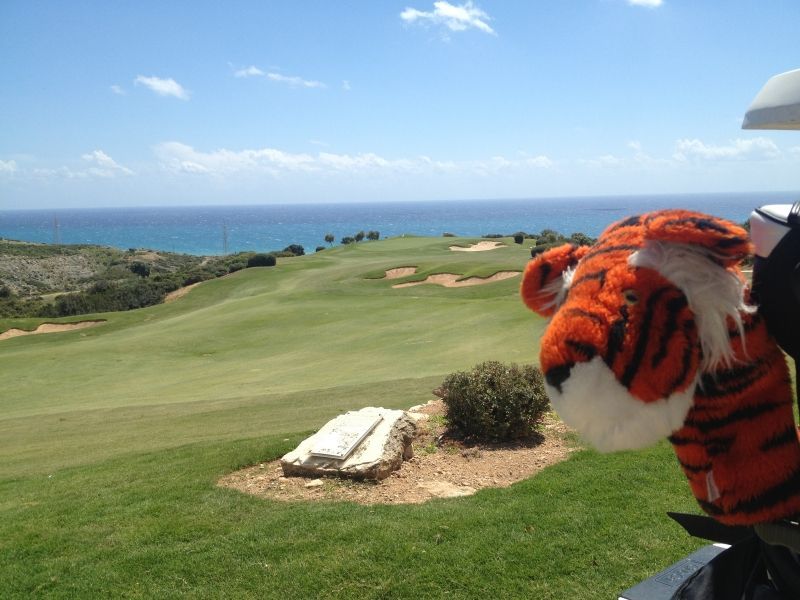 bestgolf