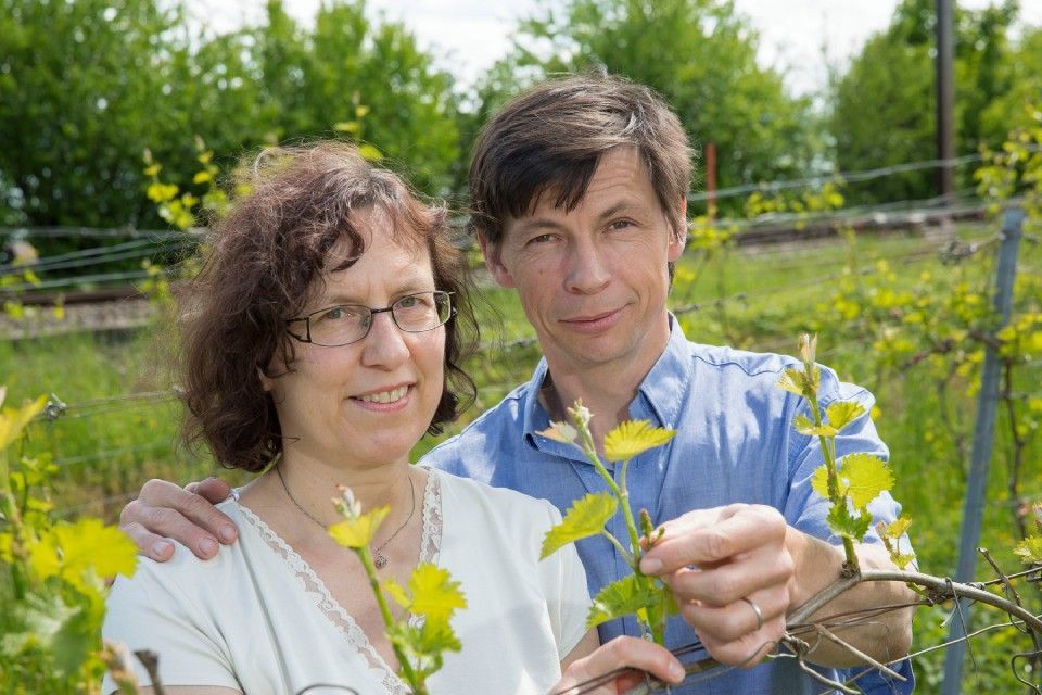 Ein Mann und eine Frau stehen nebeneinander auf einem Feld und halten eine Pflanze.