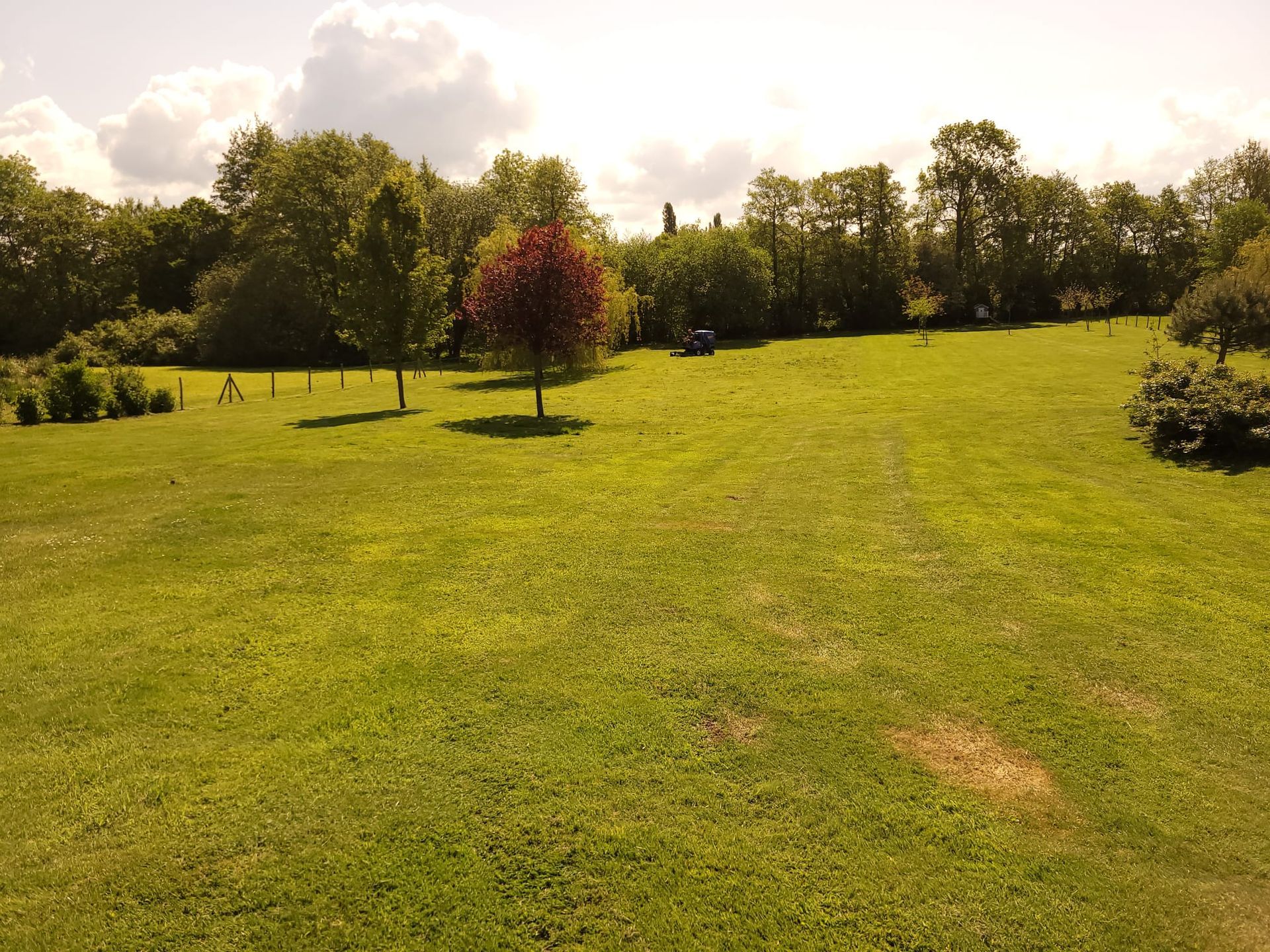 Champ herbeux verdoyant parsemé d'arbres sous un ciel partiellement nuageux.